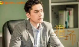 胡歌电视剧,从古装传奇到现代都市的华丽蜕变